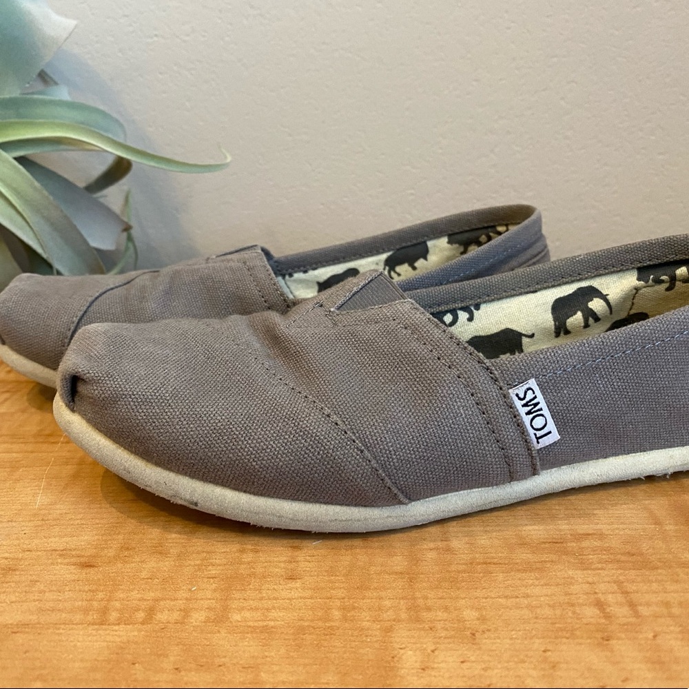 Gray Toms